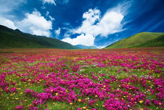 康定木雅圣地景区风光 供图 甘孜州文化广播电视和旅游局