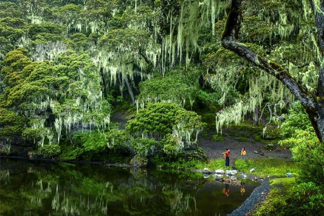 九龙伍须海景区风光 供图 甘孜州文化广播电视和旅游局