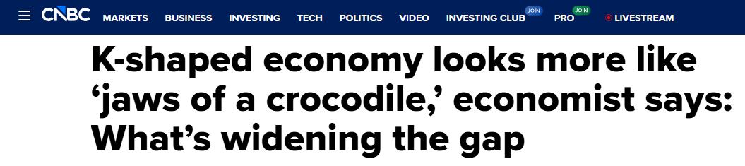 　　△美国消费者新闻与商业频道网站报道截图