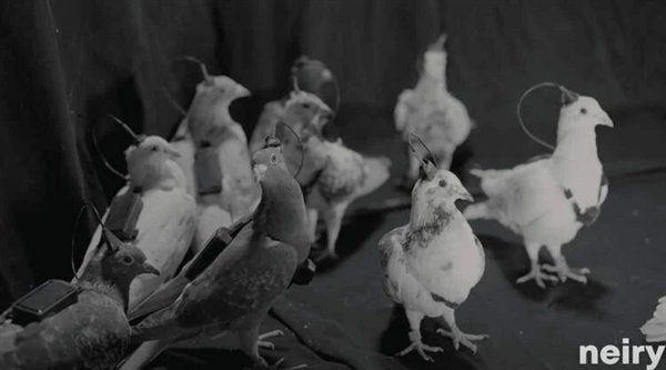 责任编辑：随心