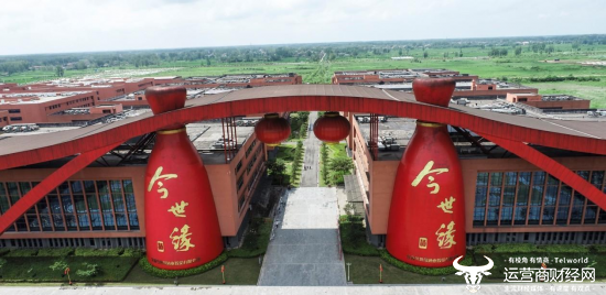 老鷹雙塔！卡佩拉和科林斯今日合砍38分30籃板