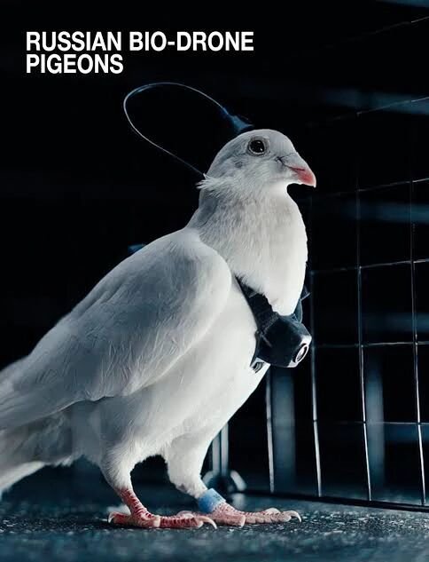 责任编辑：随心