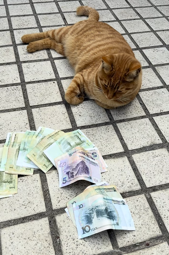 责任编辑：雪花