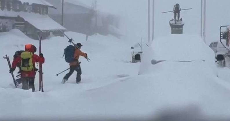 美国加州雪崩事故9名遇难者遗体已全部找到
