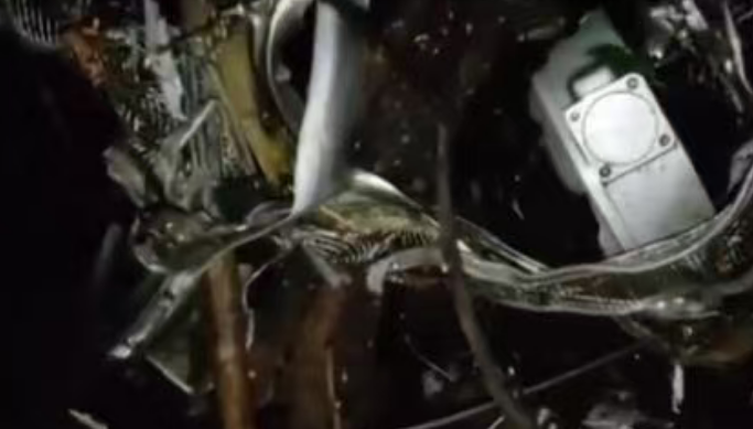 一架医疗专机在印度贾坎德邦坠毁 机上载有7人