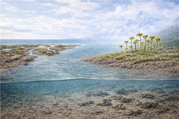 ▲早期植物在陆地的扩张模拟图