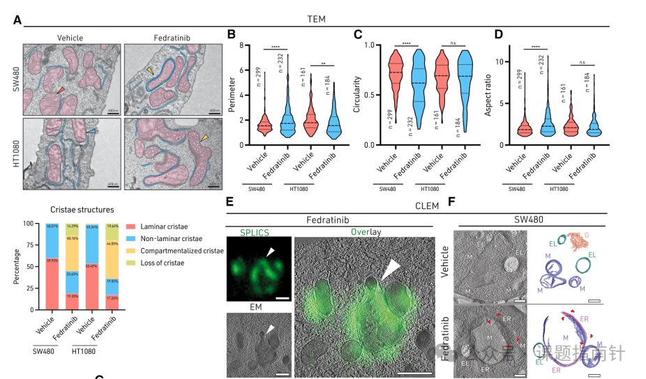 seo外链优化在线培训机构