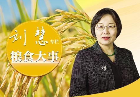 粮食主产区抓项目切莫一哄而上