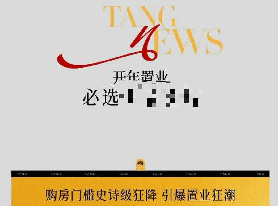 新政出台后，各大楼盘借势发布海报推介楼盘。