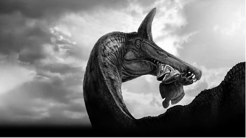 图片来源：Dani Navarro