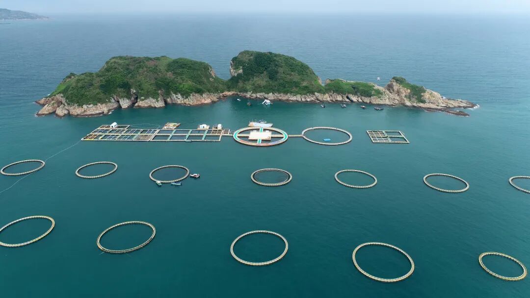 惠东实践向海图强政策，全力推动成海洋牧场建树。