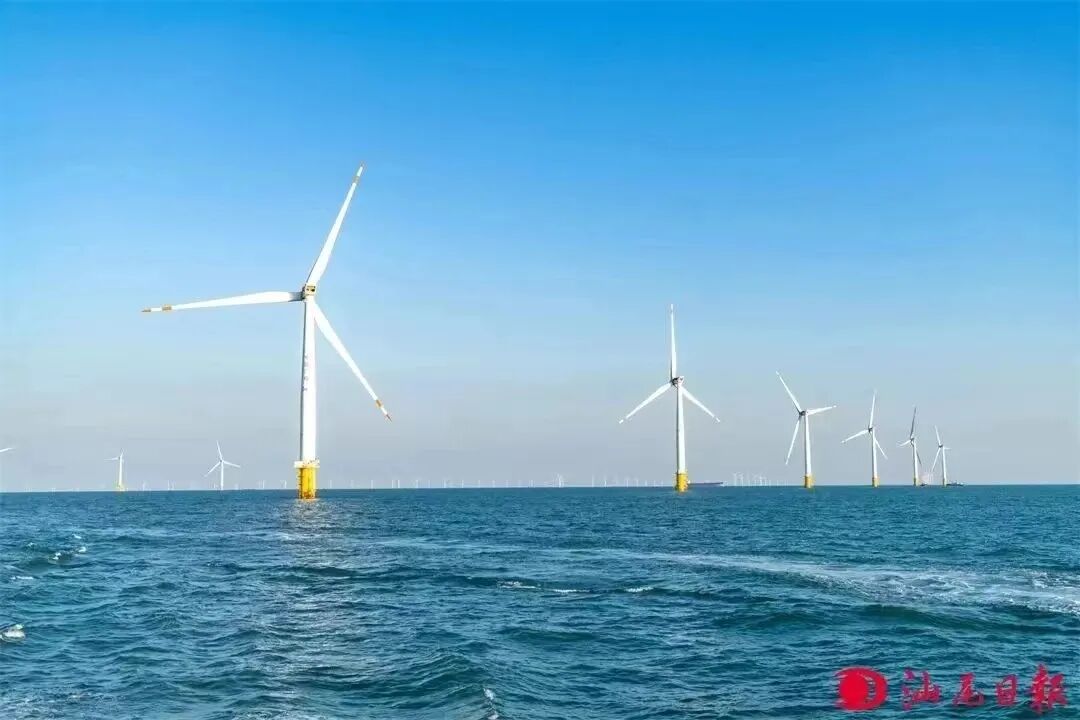 记者 陈茂辛 摄