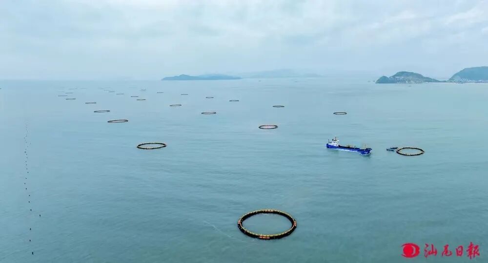 记者 陈茂辛 摄