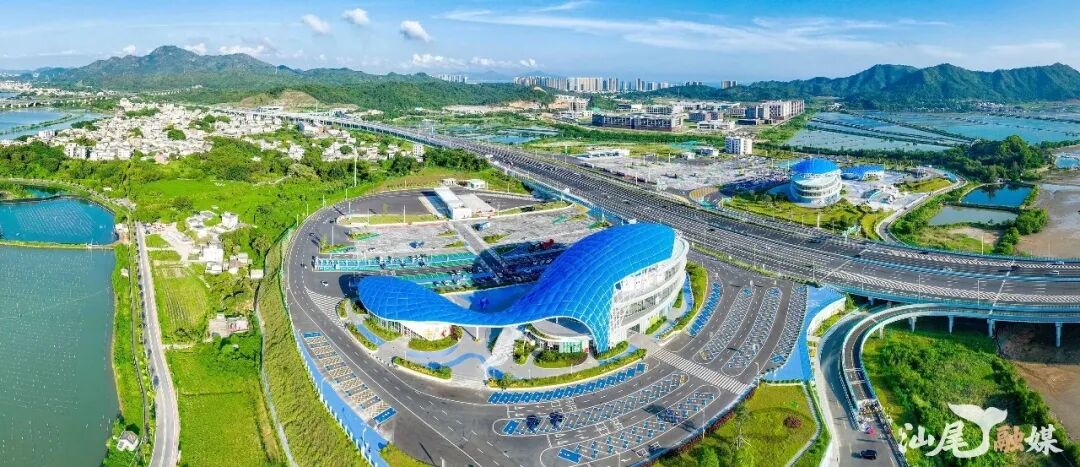 记者 施辰亮 摄