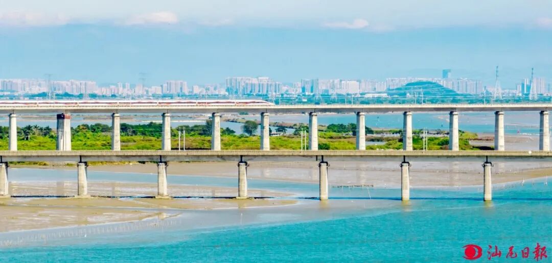 记者 陈茂辛 摄