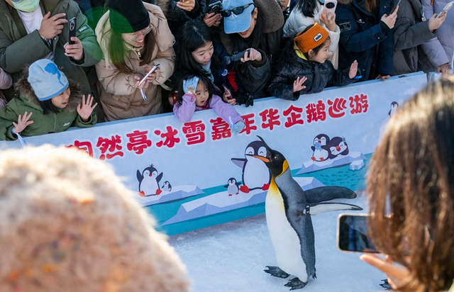 2026��1�£��ο��ڱ�������Ȼͤ��԰��ѩ���껪�ۿ����Ѳ�Ρ��»������ ������ ��