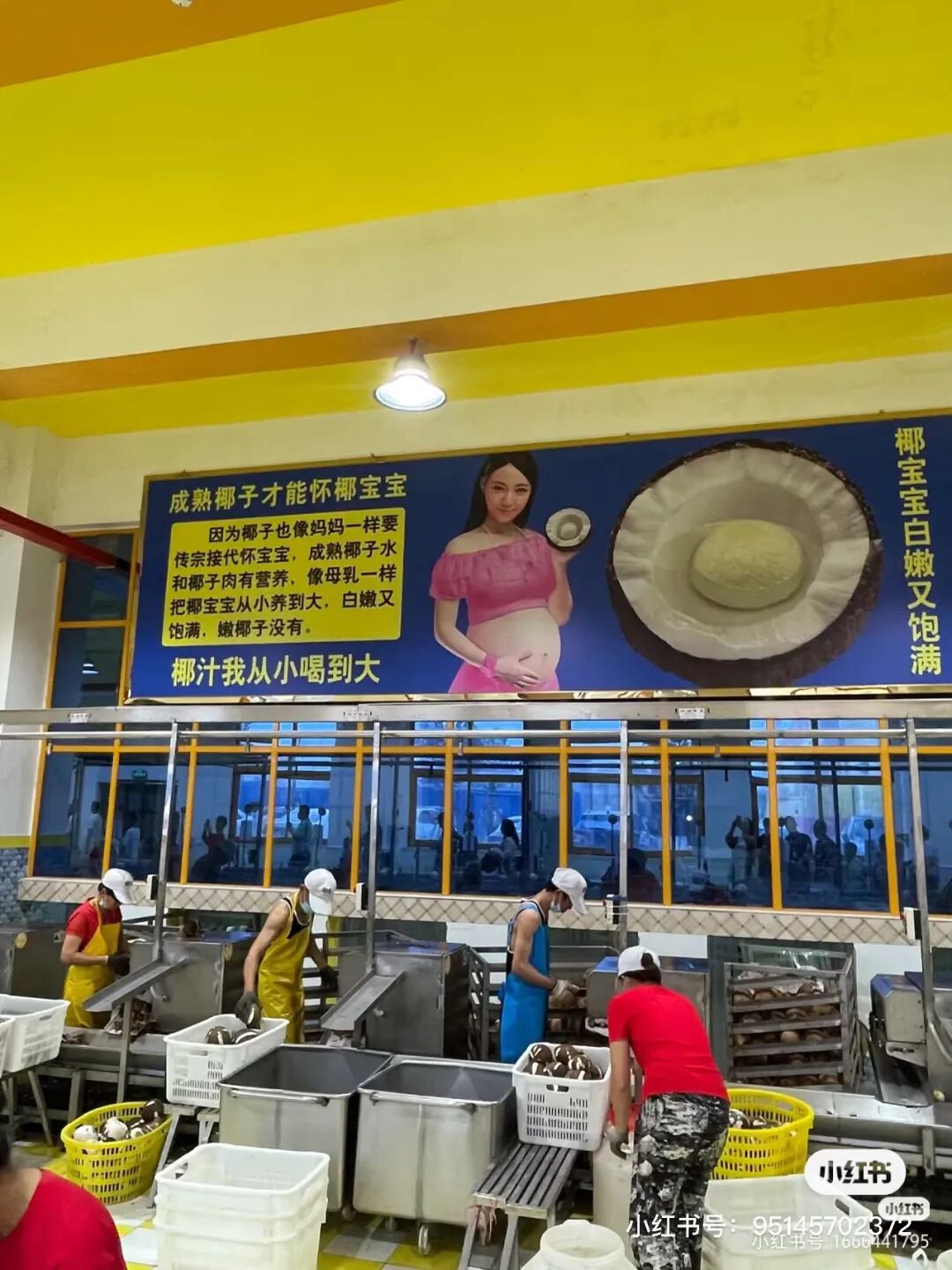女员工“胸大奶多”爆了！椰树营销震惊全网