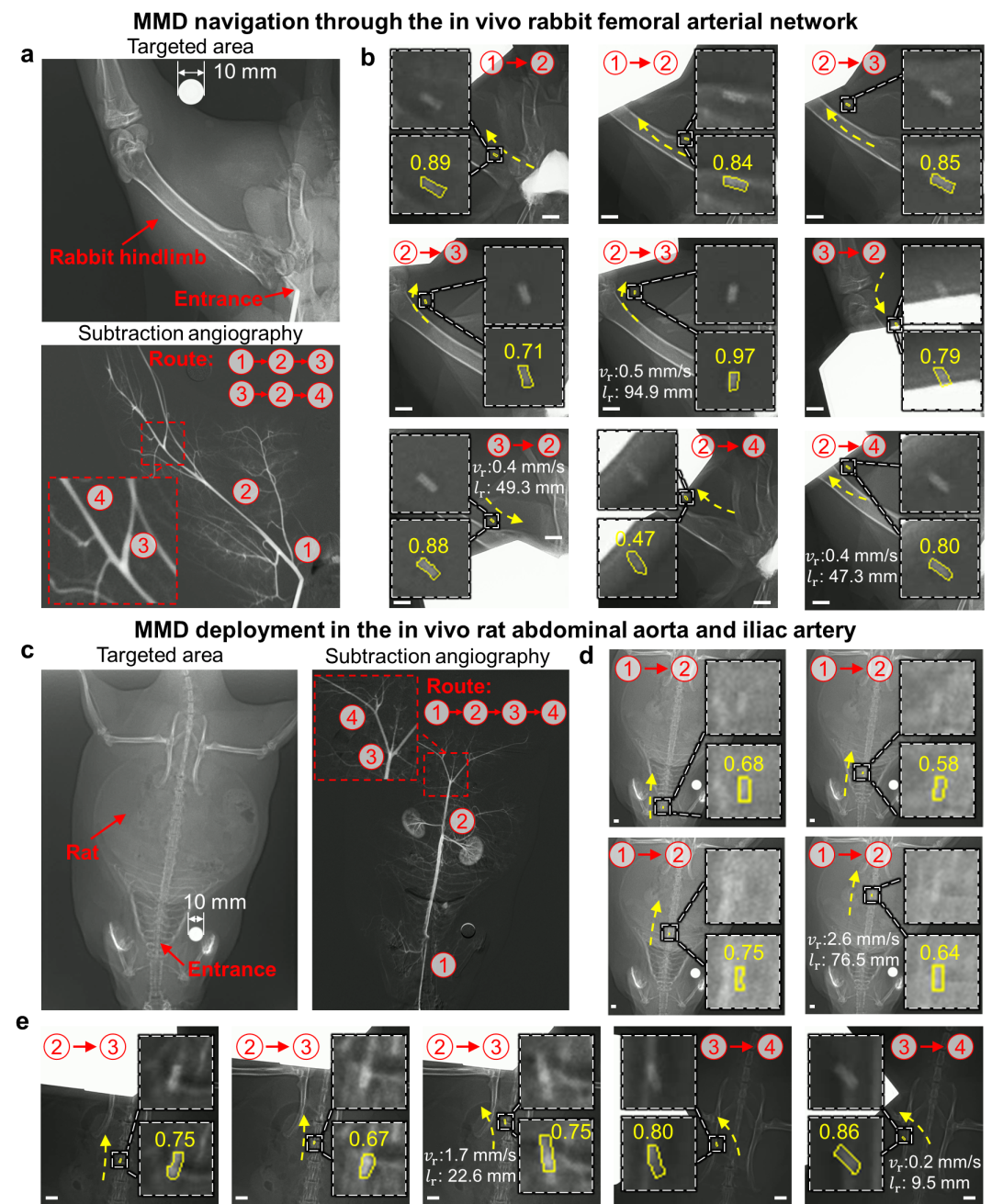 微型医疗器械在活体动物中的追踪与部署
