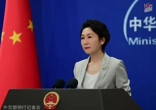 毛宁 资料图（外交部网站）