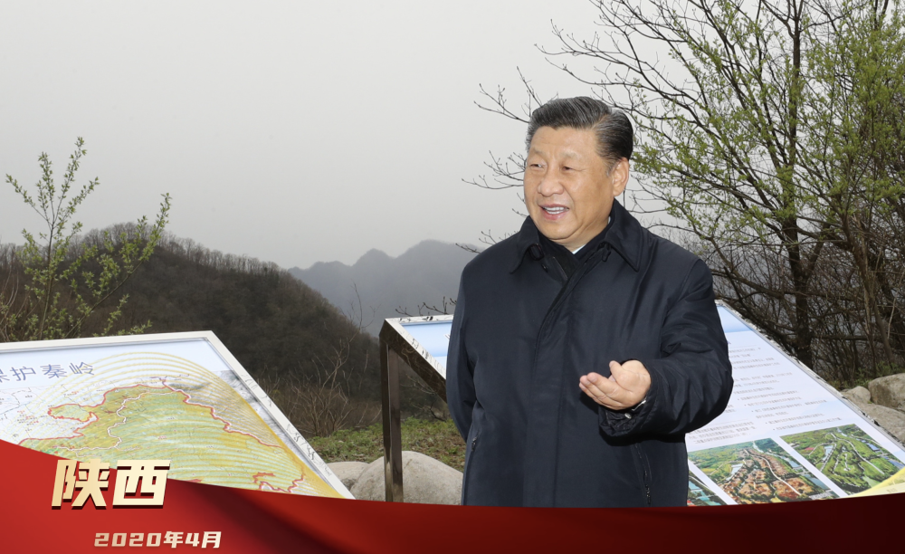 镜观·领航 | 擘画胜利的蓝图|总书记_新浪财经_新浪网