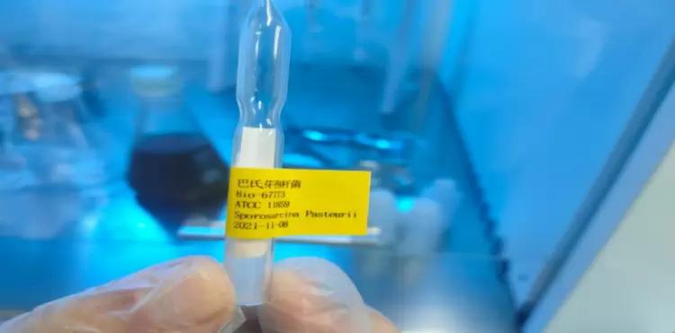 （图一 团队人员在实验室进行菌株培养与性能测试）