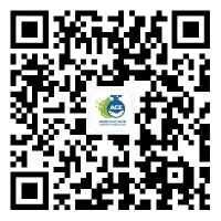 “码“上报名参展