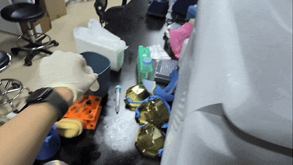 人类第一视角数据示例