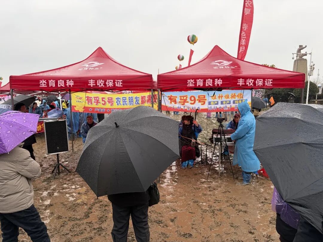 河南人自己的音乐节，从不伺候观众_创事记_新浪科技_新浪网