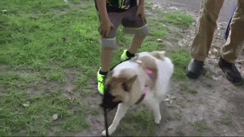 责任编辑：随心