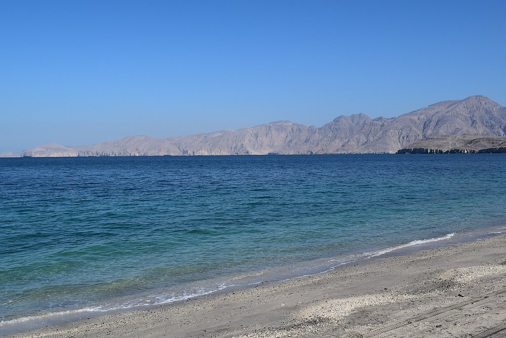 国际海事组织：霍尔木兹海峡船只遭袭造成海员4死3重伤