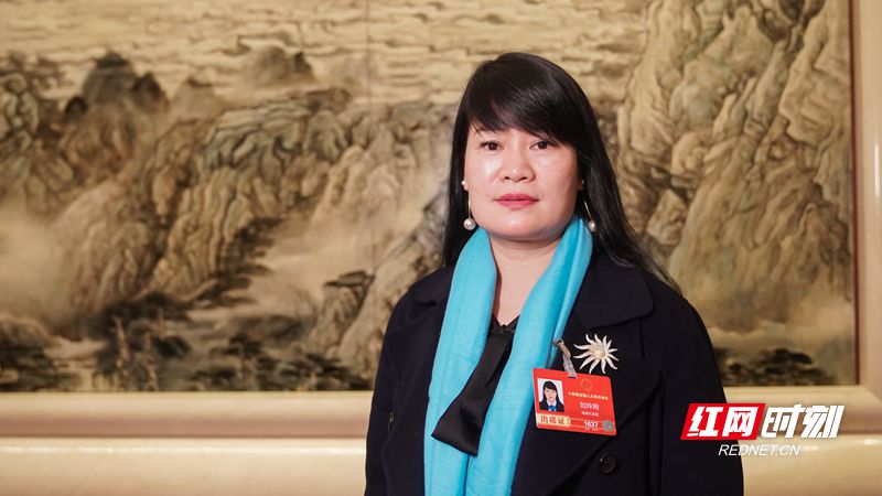 两会湘声丨刘玲琍：加快发展培智高中阶段教育 推动特殊教育高质量发展|高中_新浪财经_新浪网