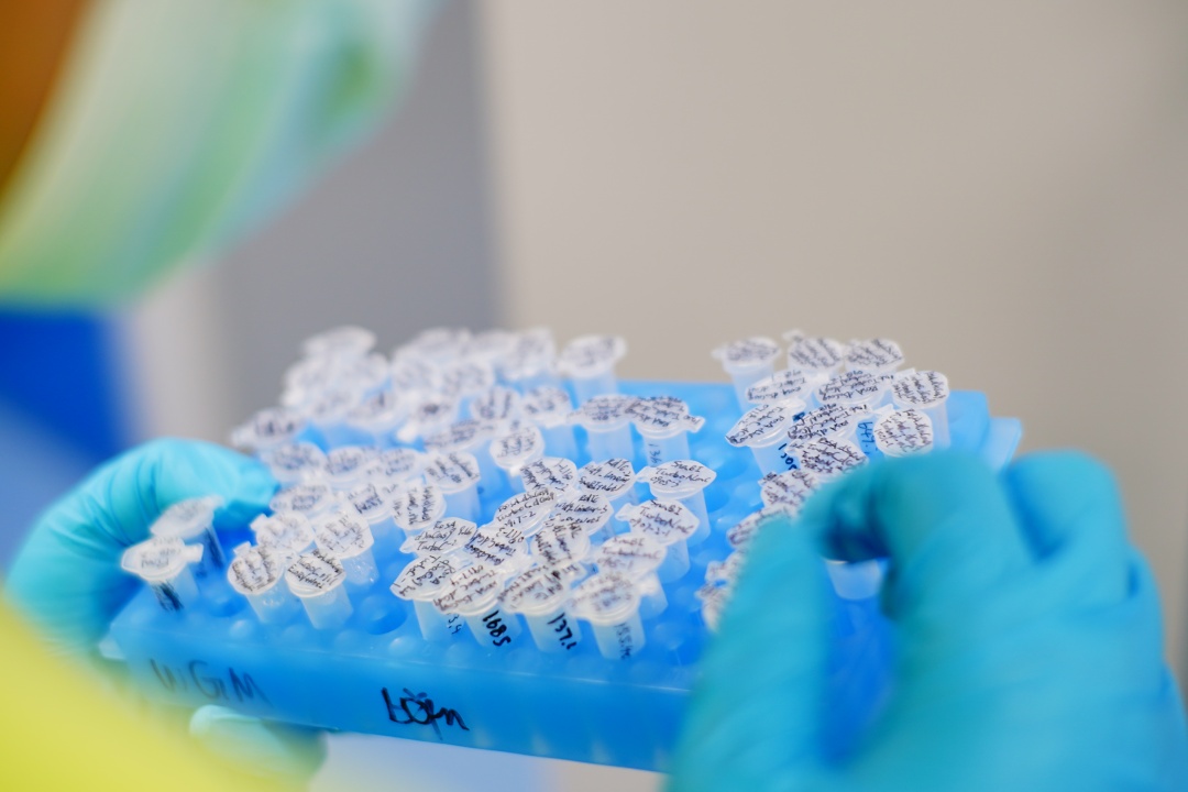 广州日报资料图