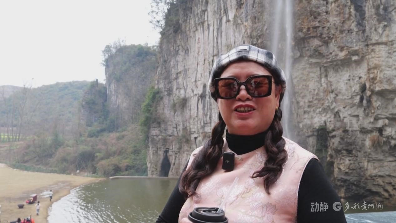 �ο�������