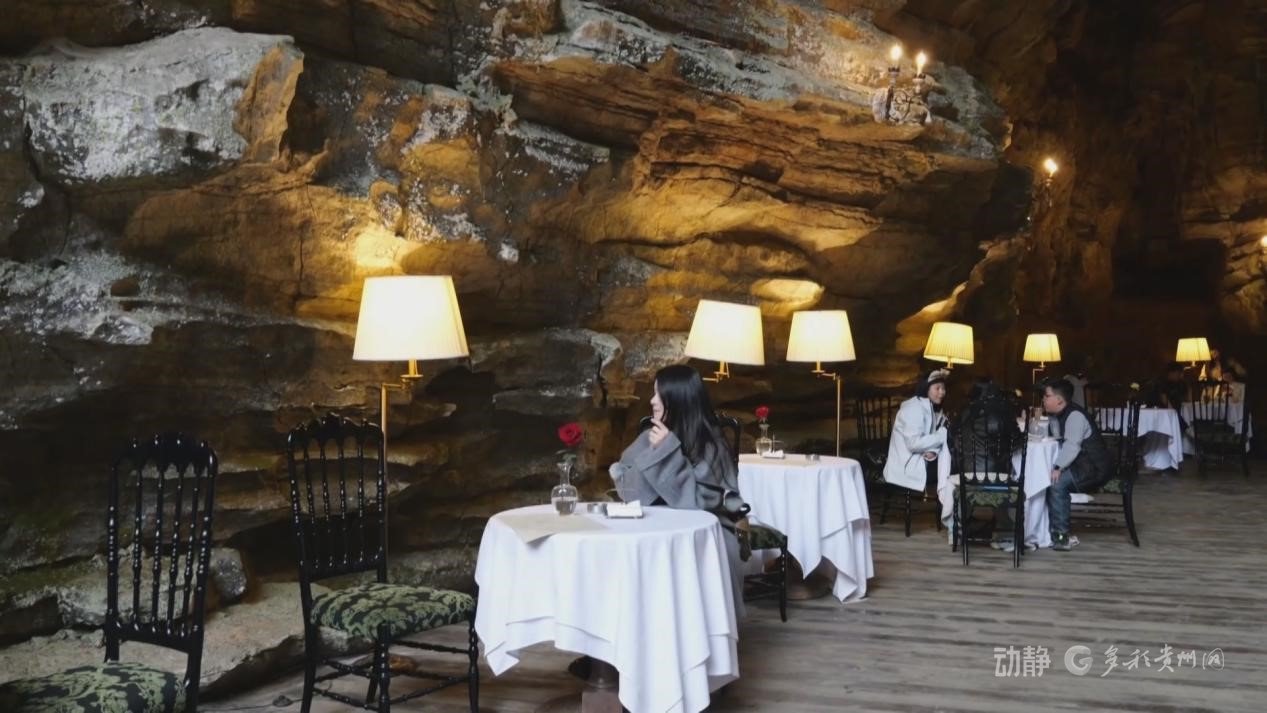 �ο�������