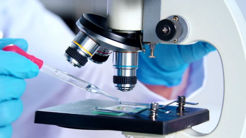 植物医生IPO推进：以高山植物与科研实力引领国妆赛道增长