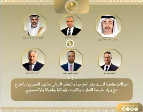 埃及外长同5国外长通话讨论地区紧张局势