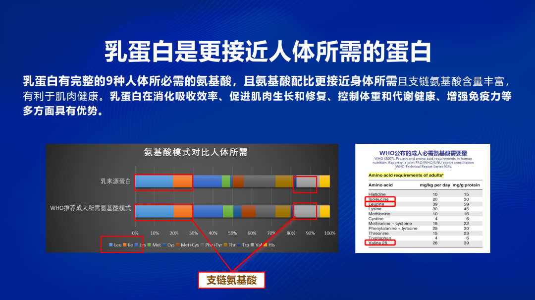 乳蛋白是更接近人体所需的优质蛋白