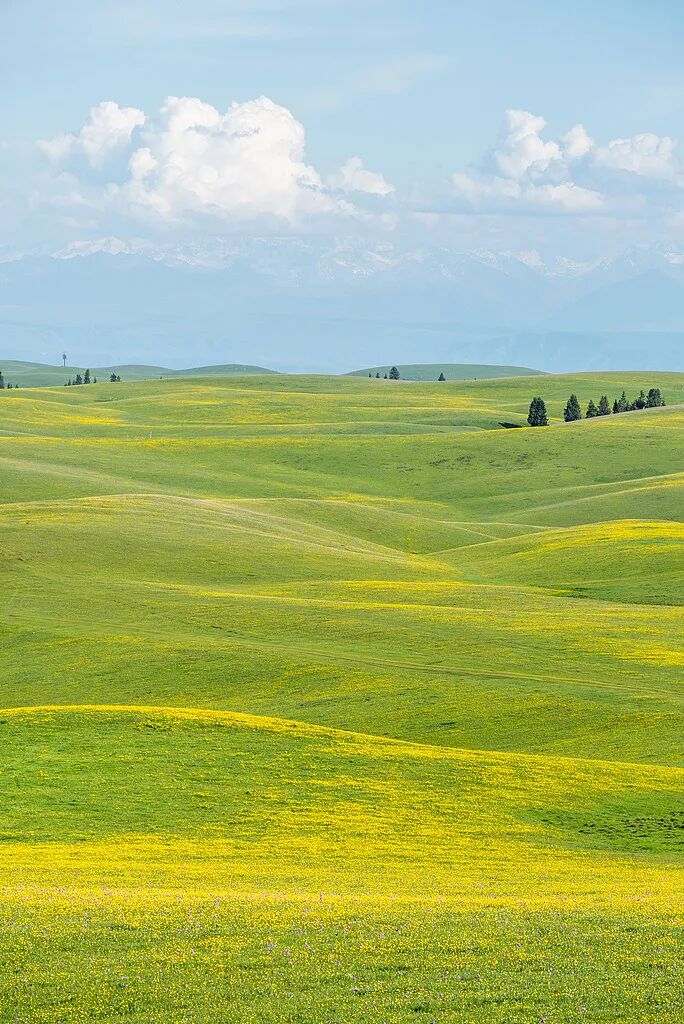 七言｜爱自己，应全力以赴