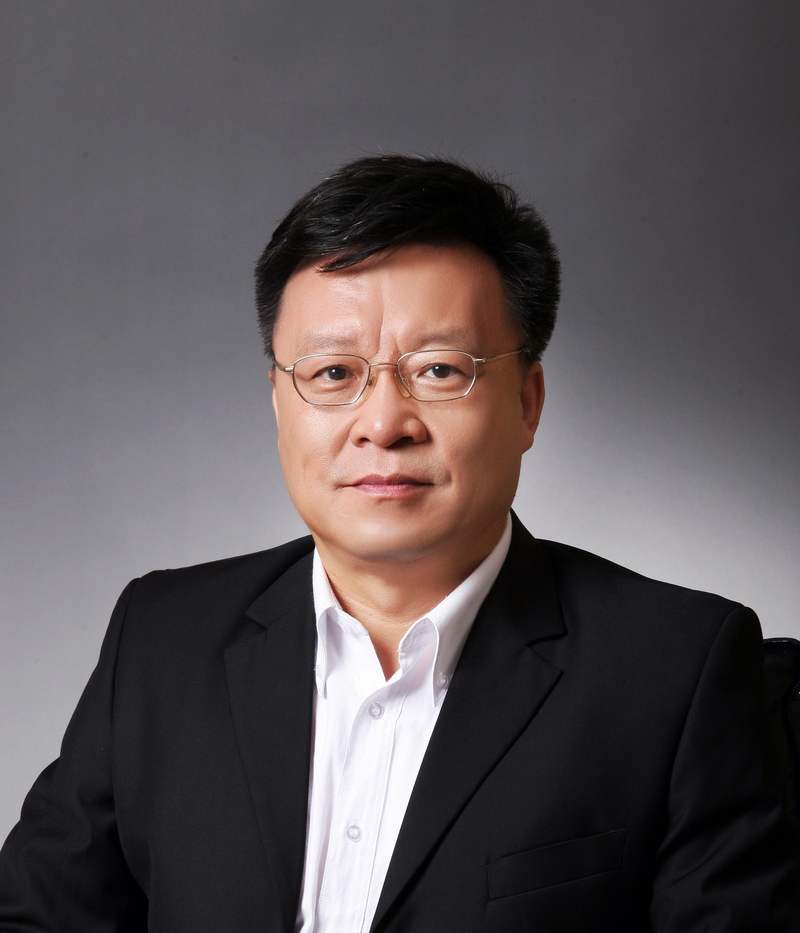 天下东说念主大代表、中国工程院院士、鹏城试验室主任高文。受访者供图