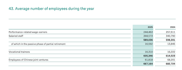 图片来源：大众集团2025年财报截图