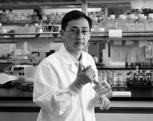 为何高血糖人群抗病毒免疫力低