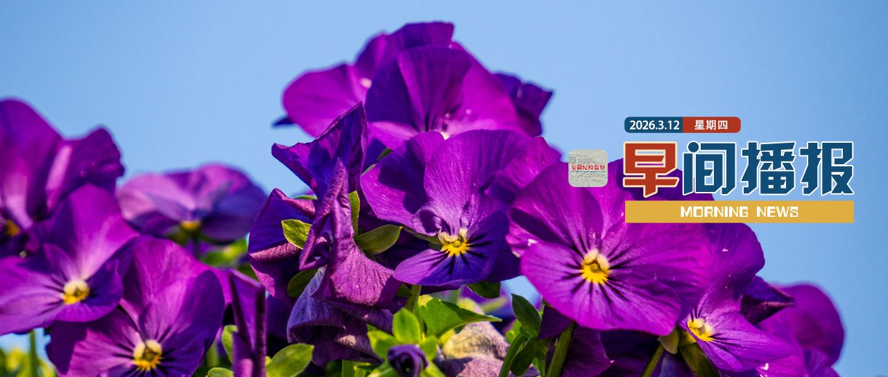 早间播报【2026年3月12日】
