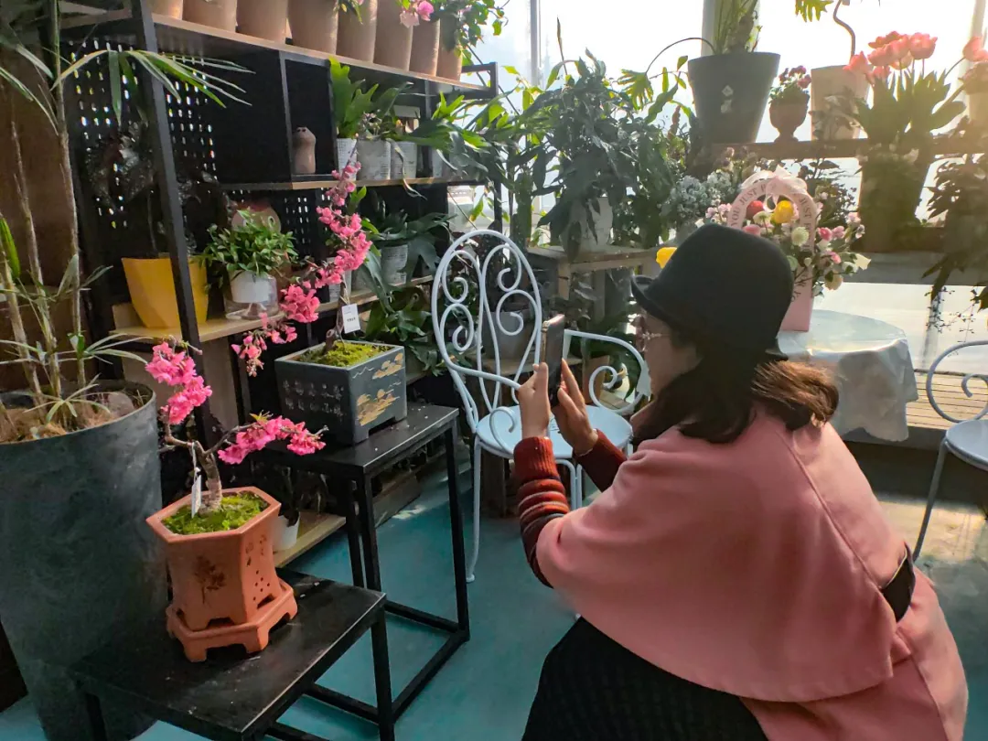 市民在绿色驿站观赏“楚樱”艺术盆景。记者明眺生 摄 