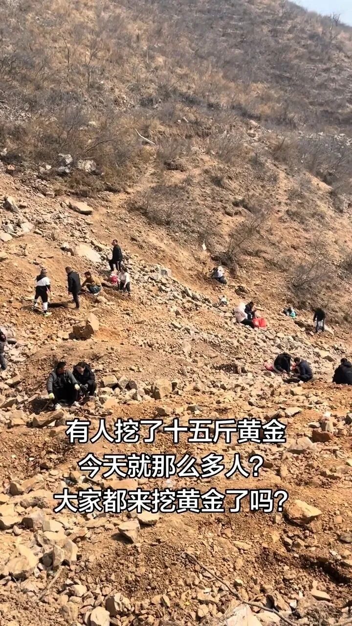 河南新密“山坡免费挖玉”爆火，有人挖到15斤黄金？当地：早年有玉石矿，但地表只有遗留的矿渣，“有黄金”是假消息