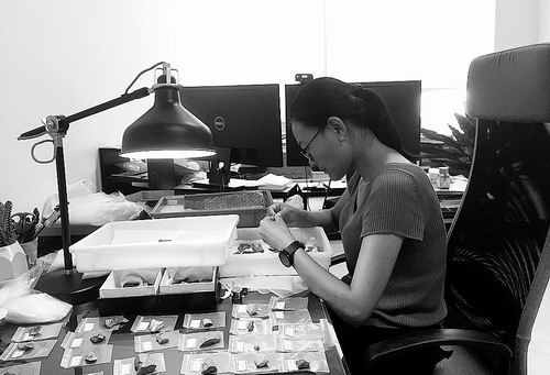 ▲杨石霞在办公室看沉默的“破石头”，偶尔对着石头自言自语。