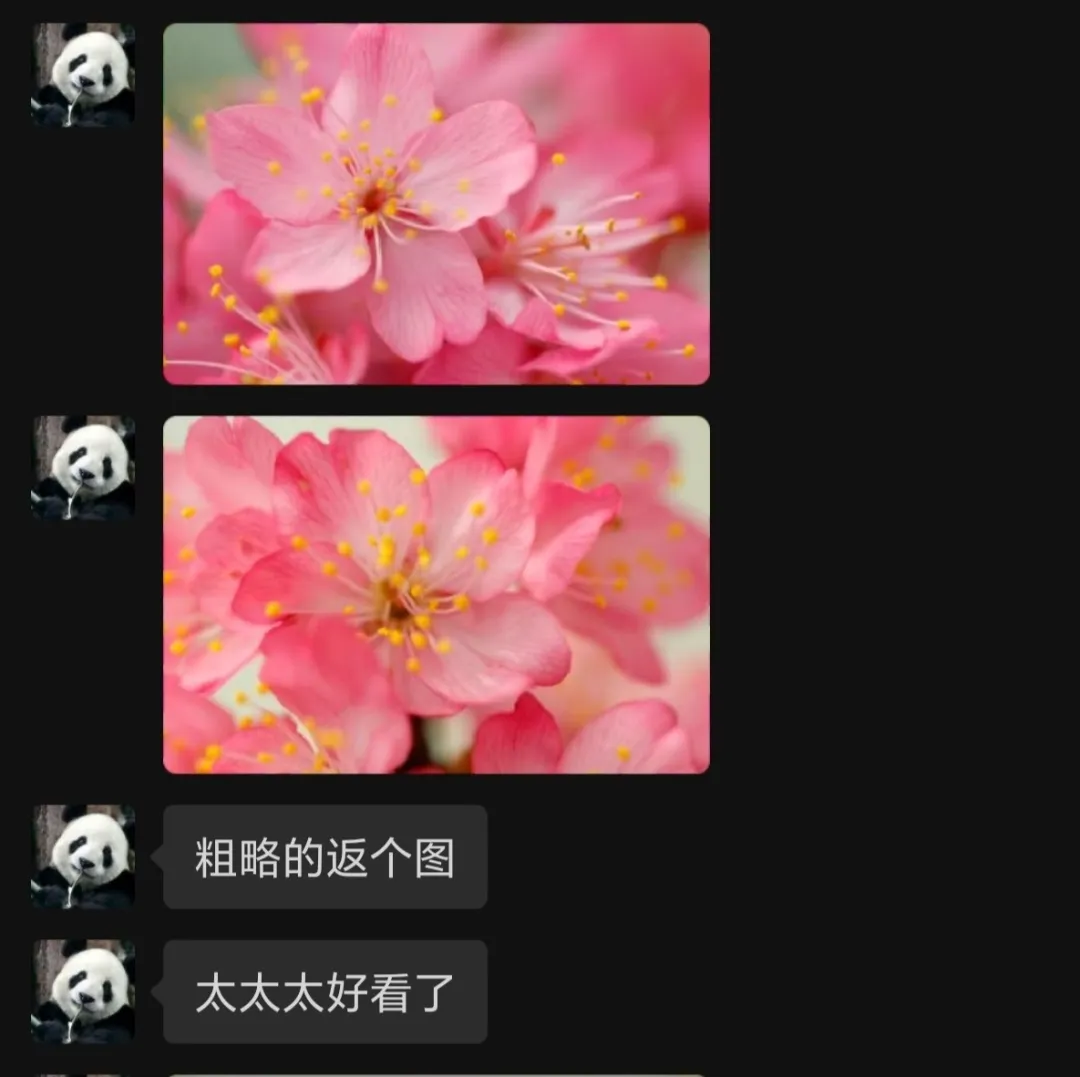 潘女士收到“楚樱”盆栽快递后反馈。截图 