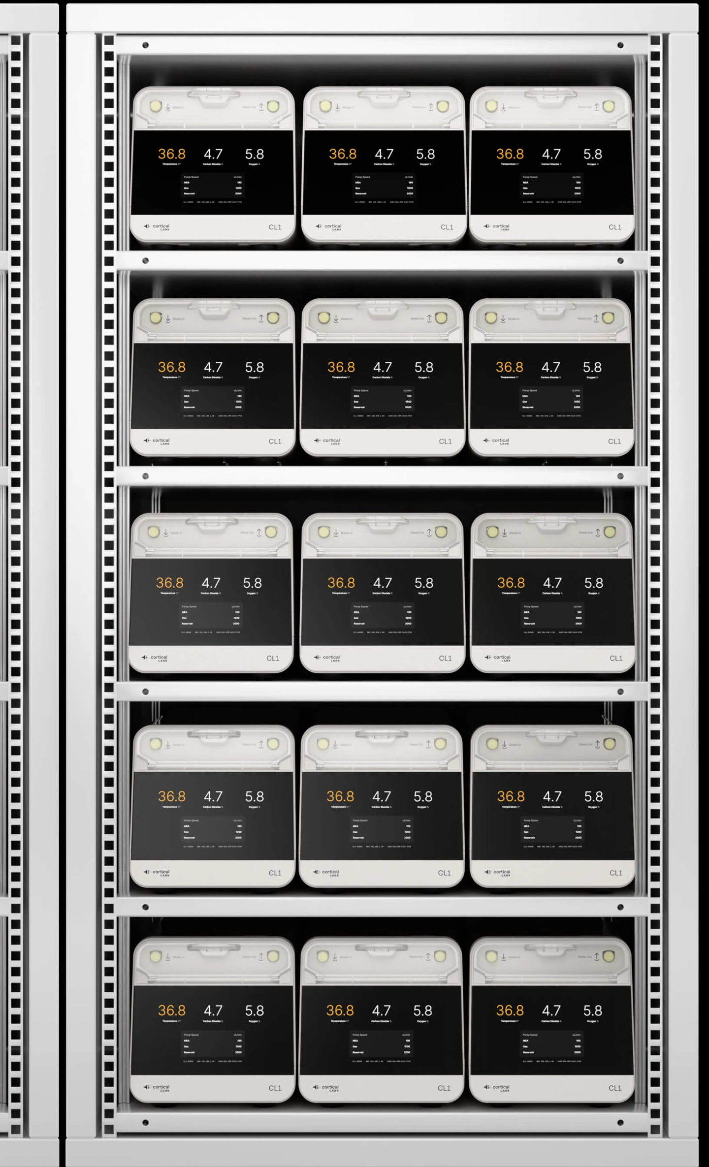 全球首批“人脑细胞”数据中心官宣落地墨尔本与新加坡