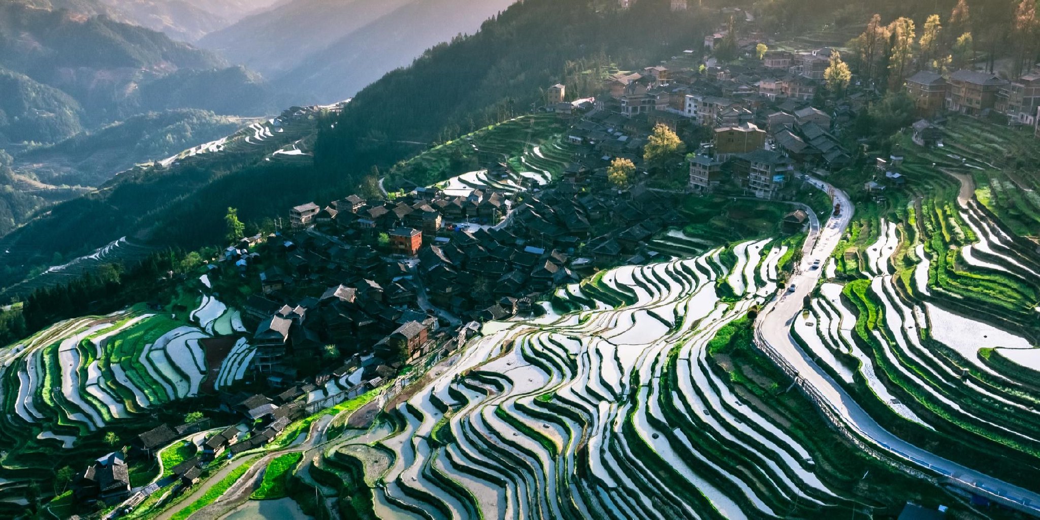 2026年最治愈的4句话，送给很累很累的你