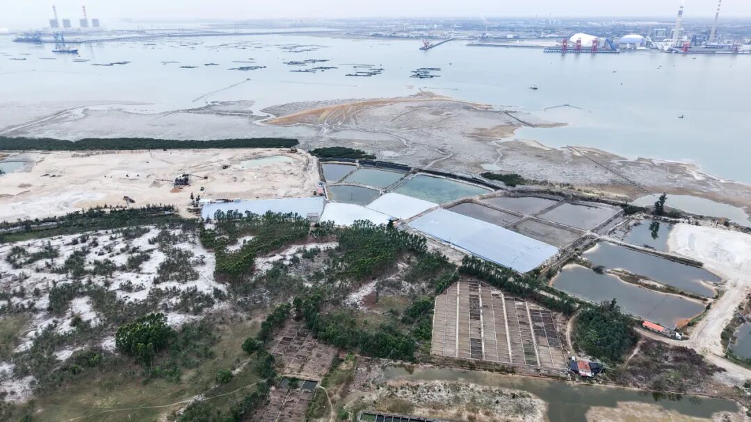 总投资42亿元,北部湾港一码头岸线获批|北海市_新浪财经_新浪网