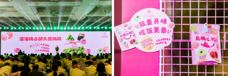 图片来源：溜溜梅